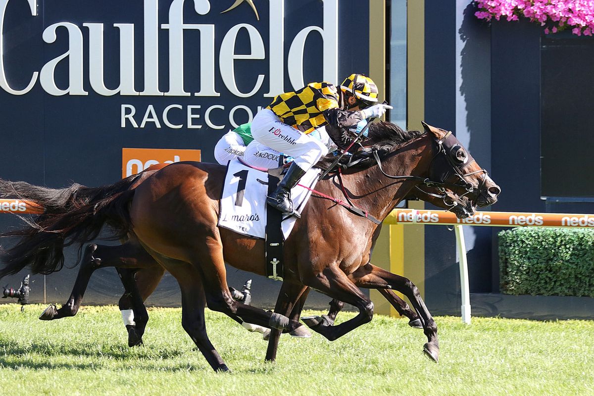 Tenacious winning return by Probabeel