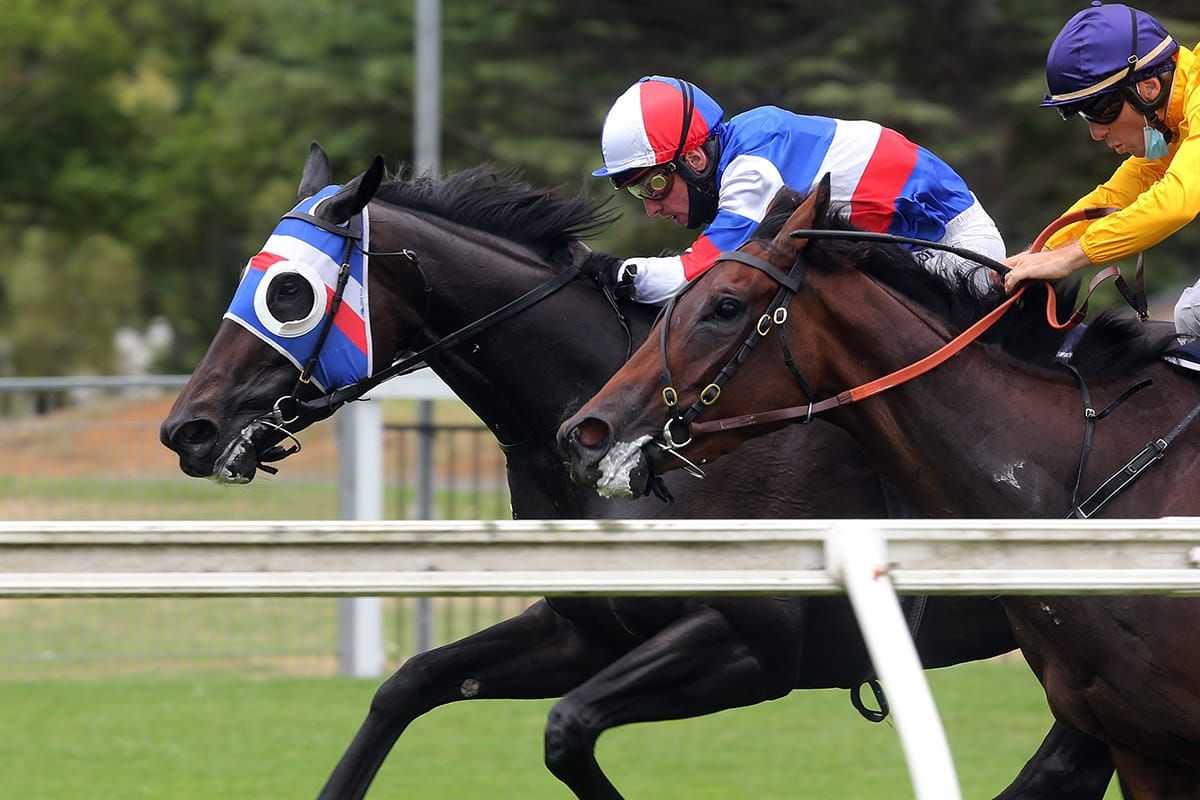 Out of control hobby reaps Group Two rewards