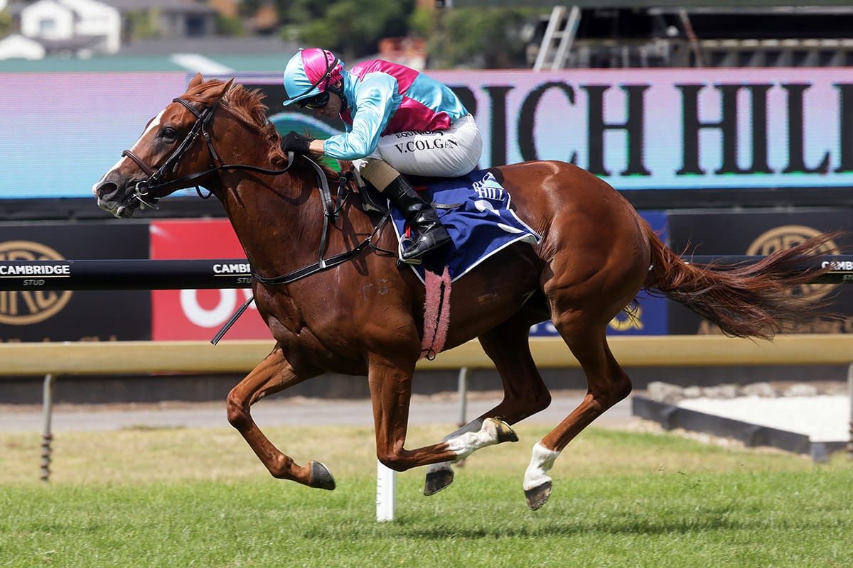 Quality mare Showoroses set to bloom again