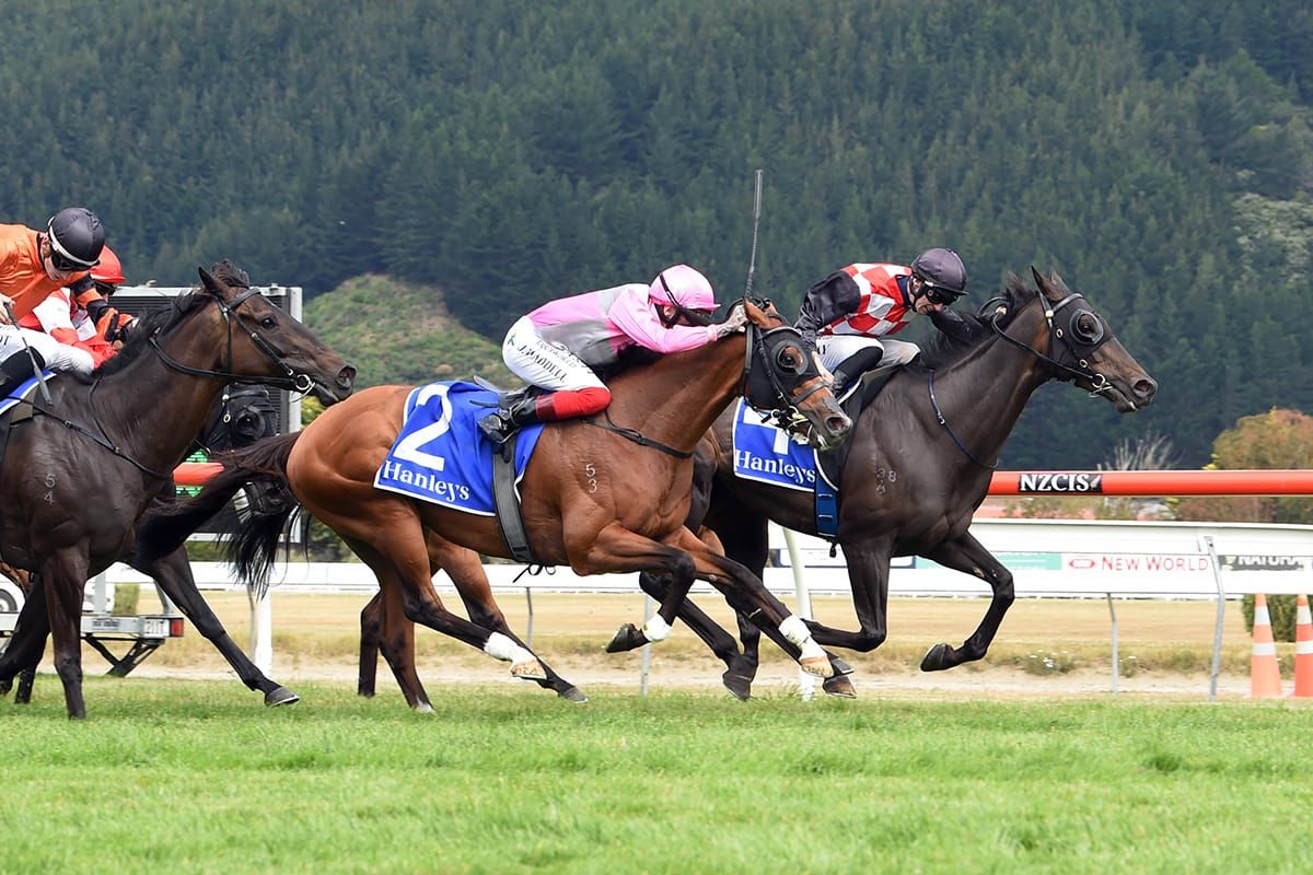 More ground sought for The Mitigator