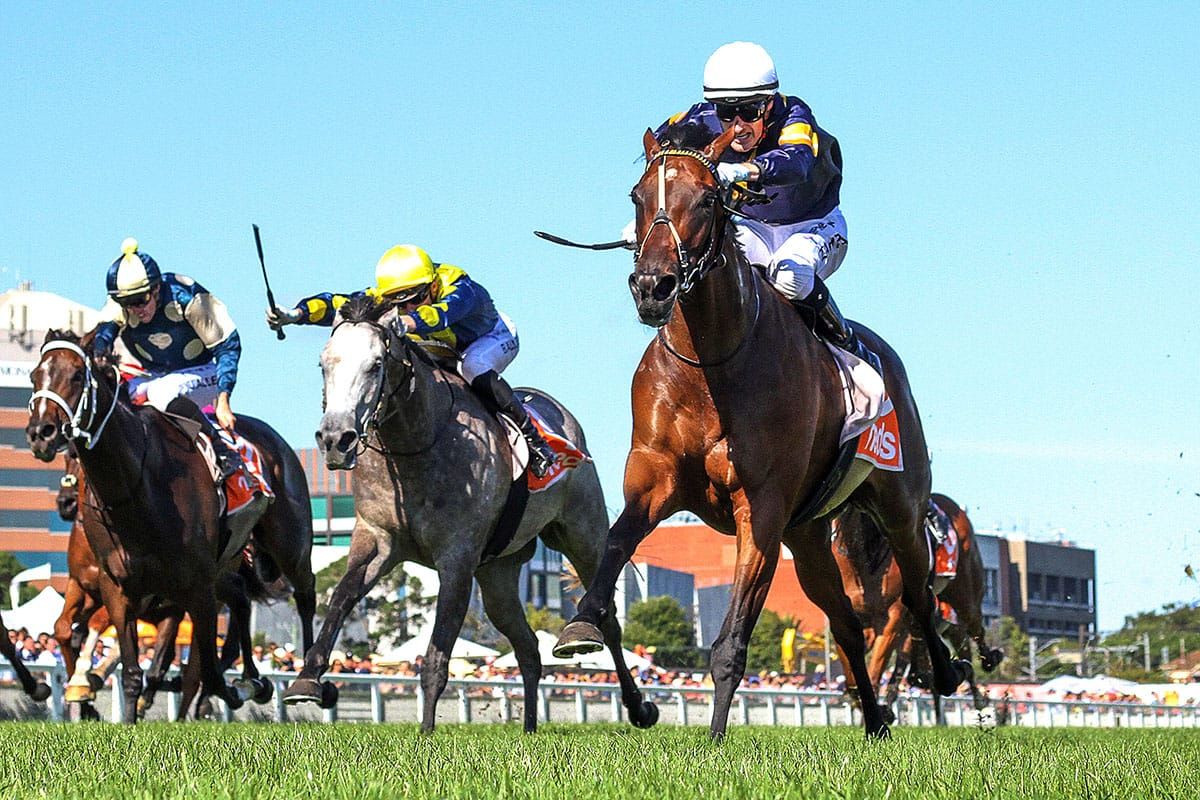 Group One breeder excited by forthcoming Karaka offering￼