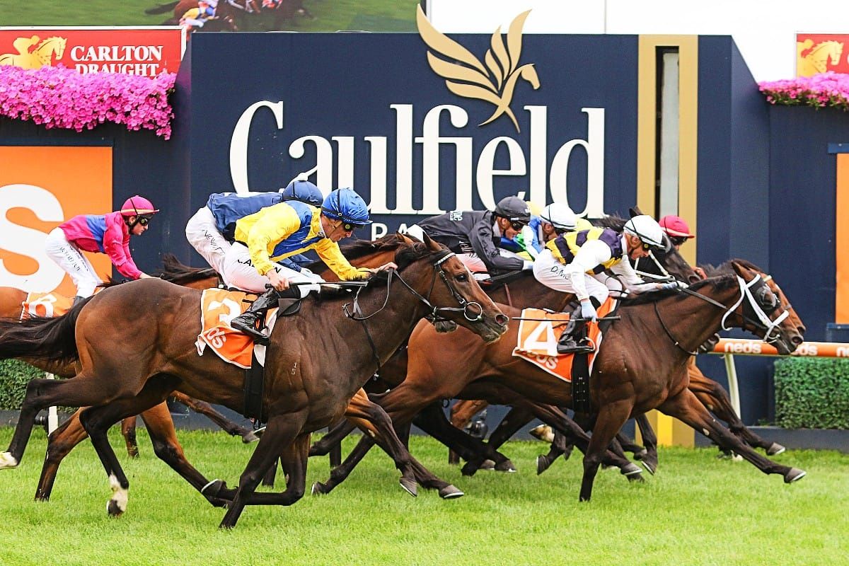 Stokes holds strong Cup hand