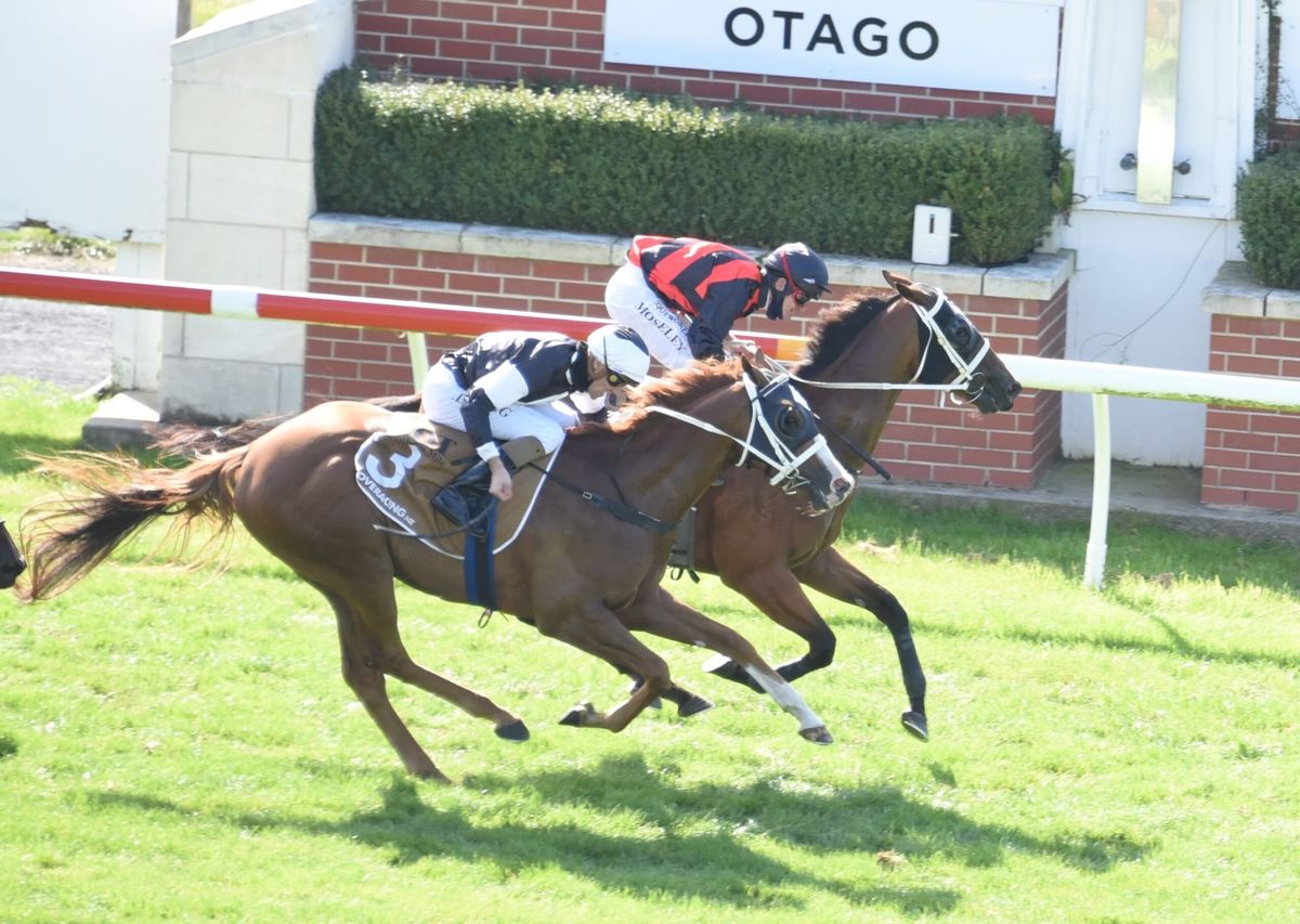 Price eyeing stakes targets with Henley