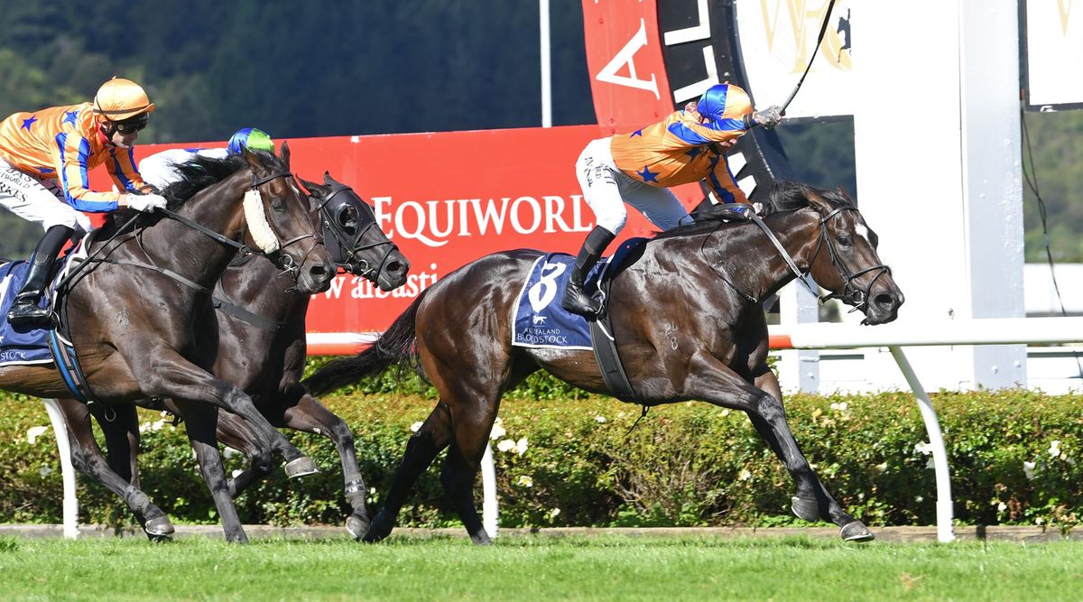 Dazzling Imperatriz heads Levin Classic sweep for Richards