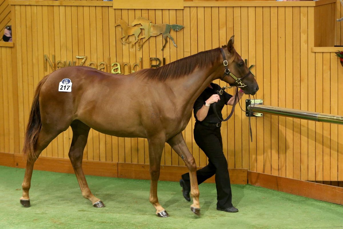 Forsman invests in his future at Karaka