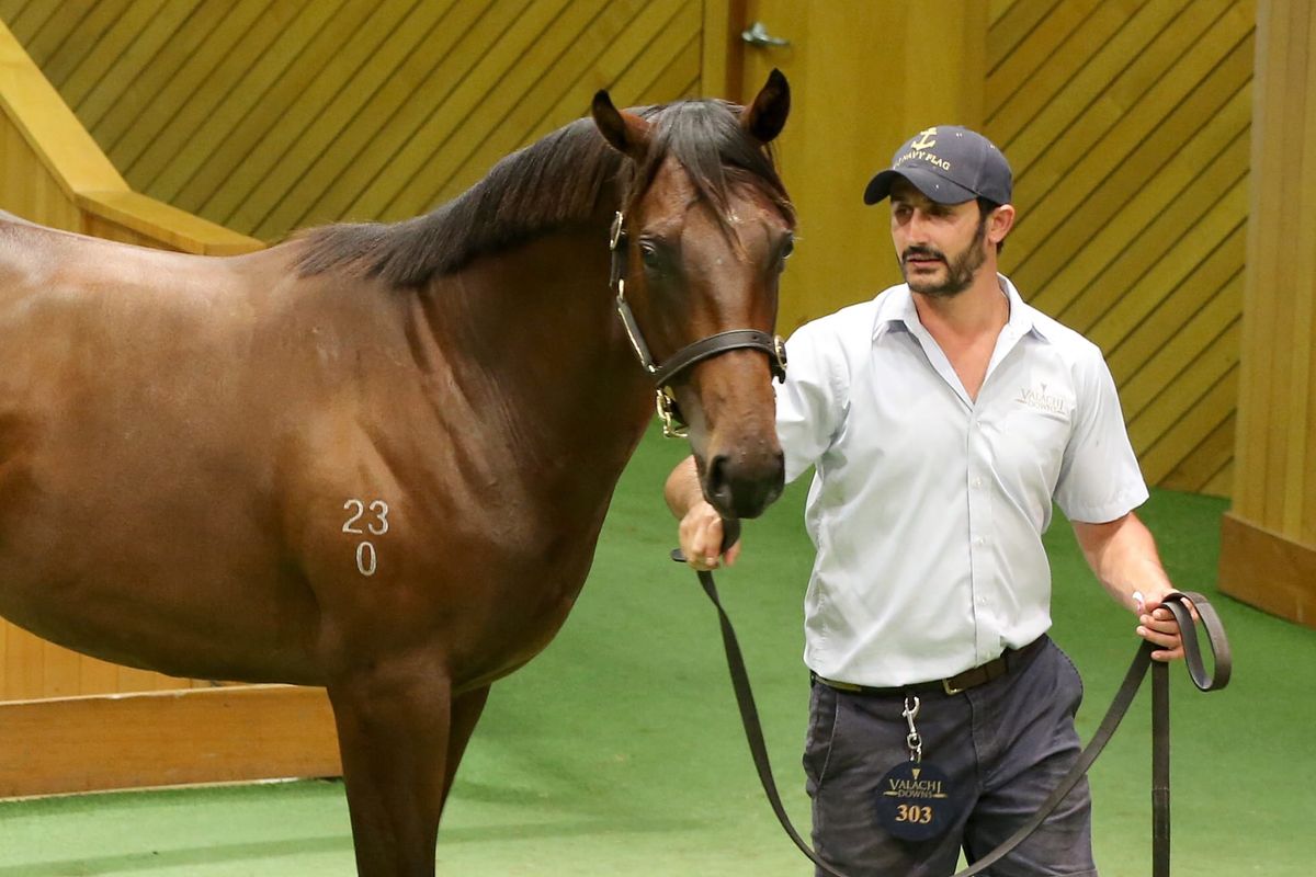 O’Sullivan and Scott in the thick of the day two action at Karaka