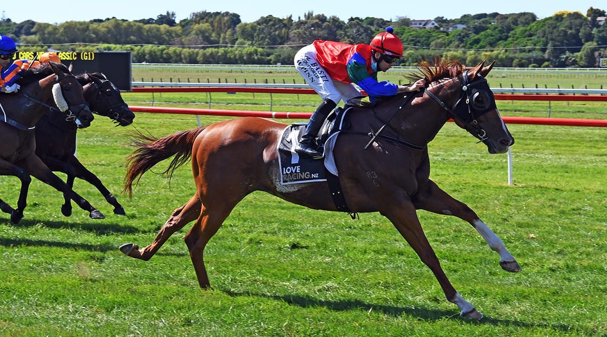 Mascarpone suffers season ending injury during exhibition gallop