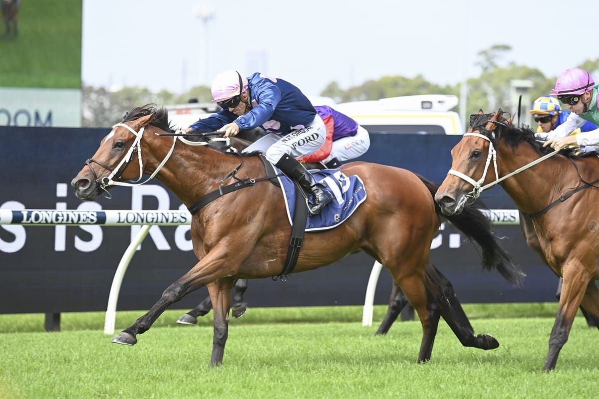 No Compromise to kick off kiwi campaign at Pukekohe