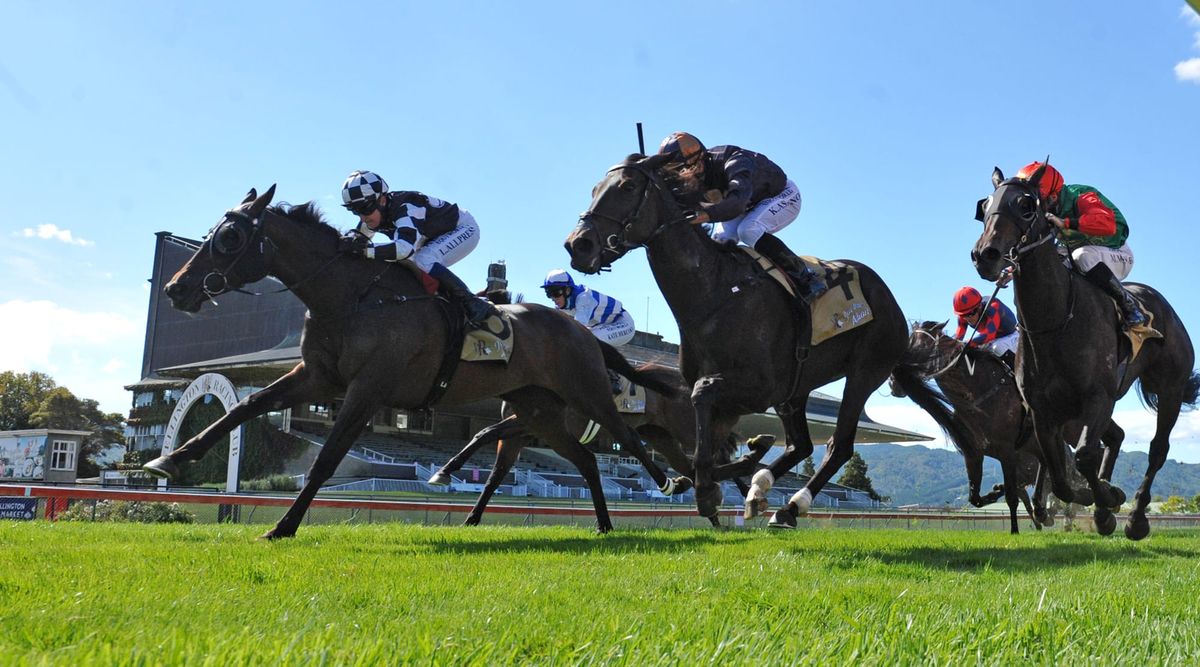 Broodmare paddock looming for Sinarahma
