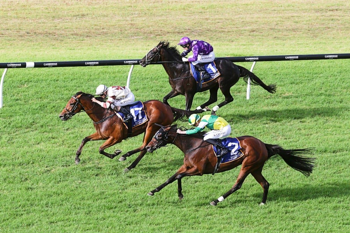 Pinn claims Auckland Cup aboard Uareastar
