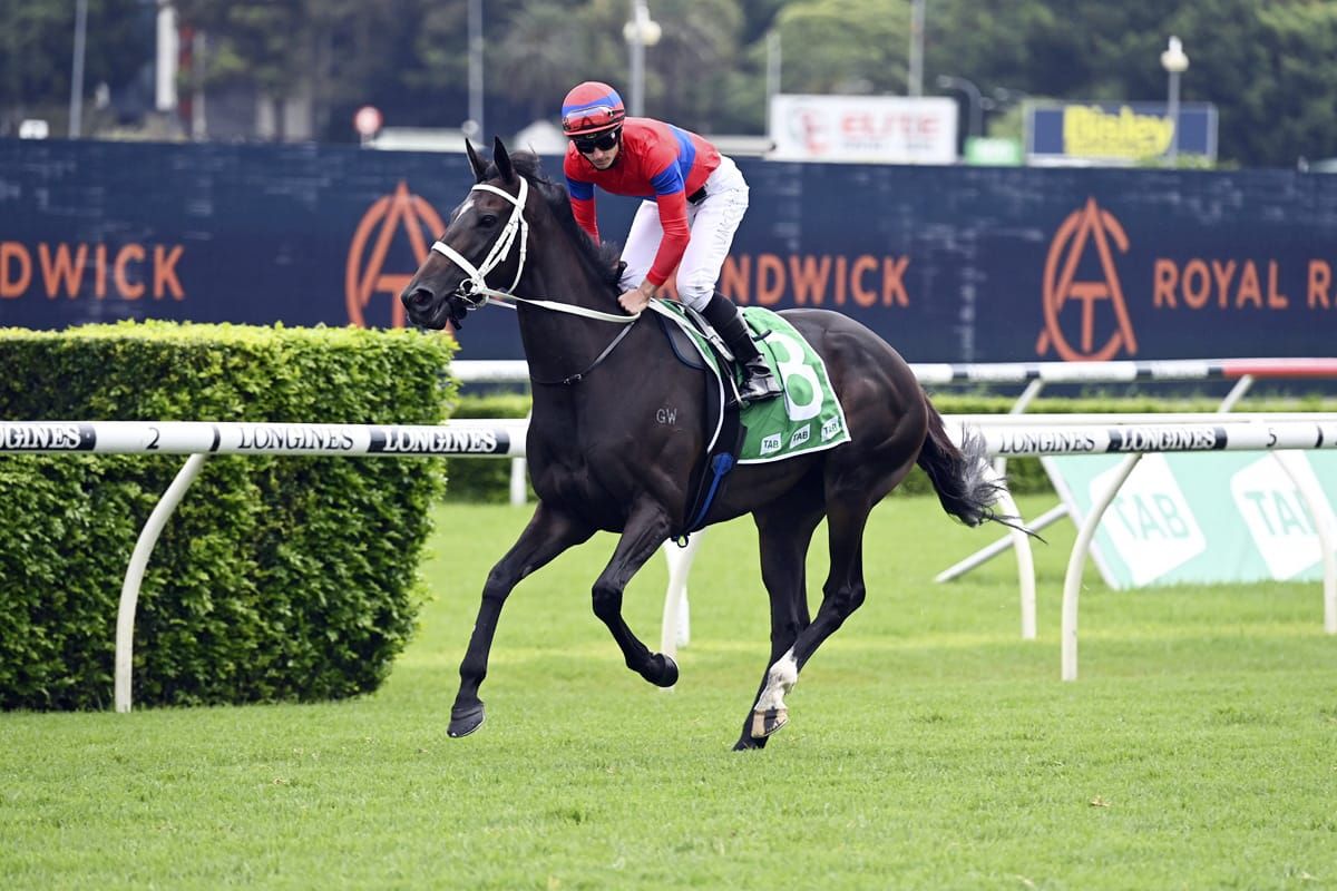 Waller confirms Verry Elleegant agenda