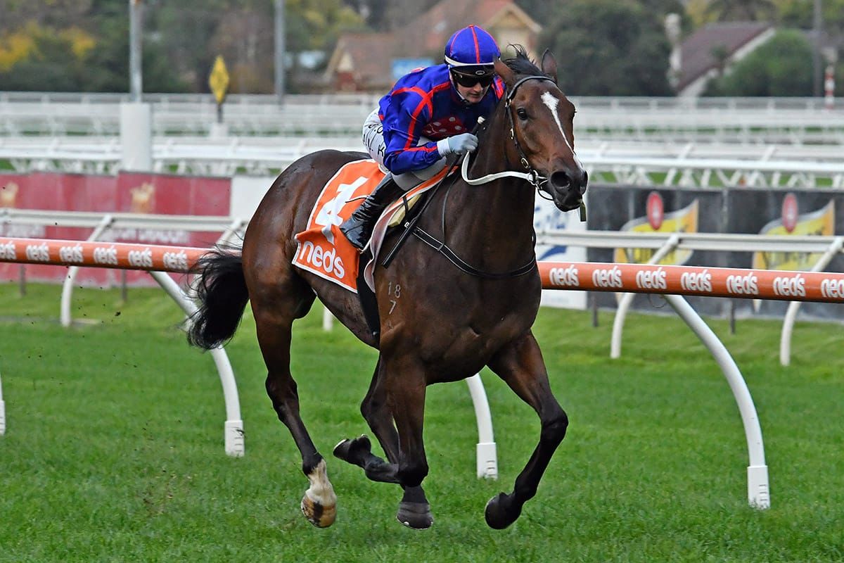 Ayrton all set for Victoria Handicap return