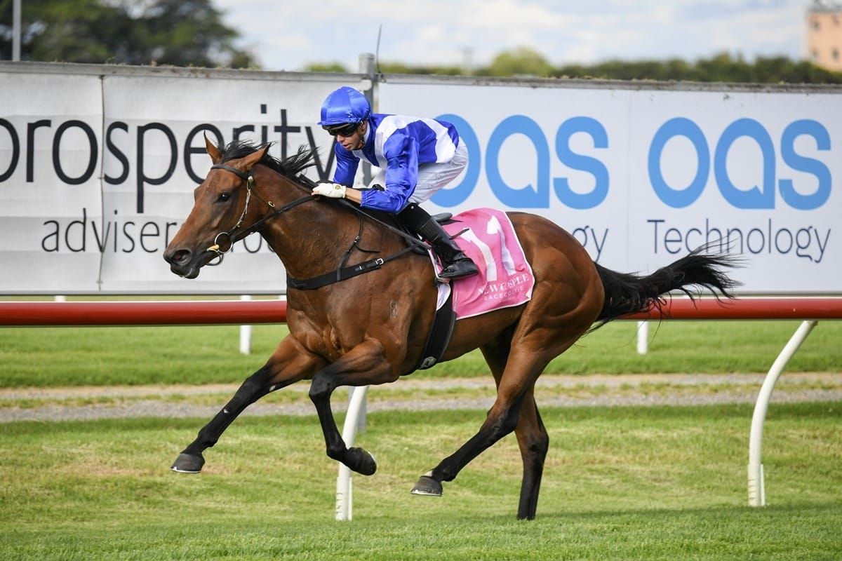 Norwegian bids to keep record intact