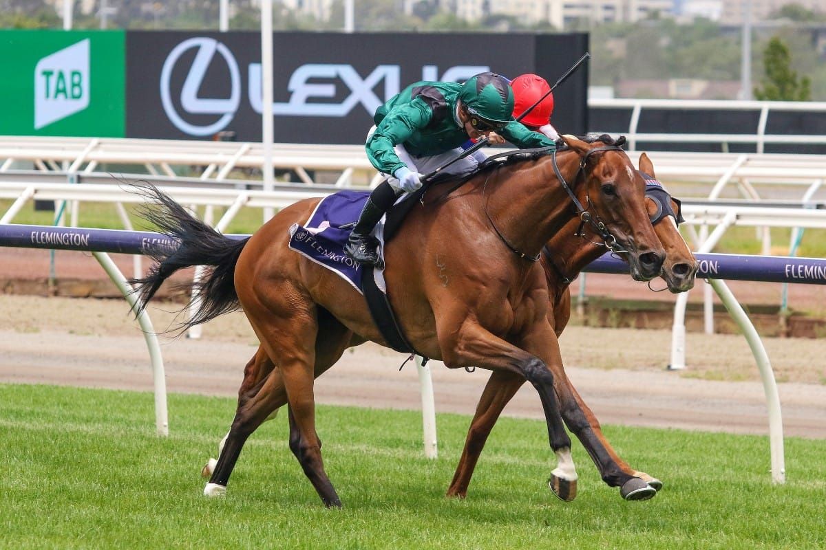 Cup campaign kicks off for Tigertiger