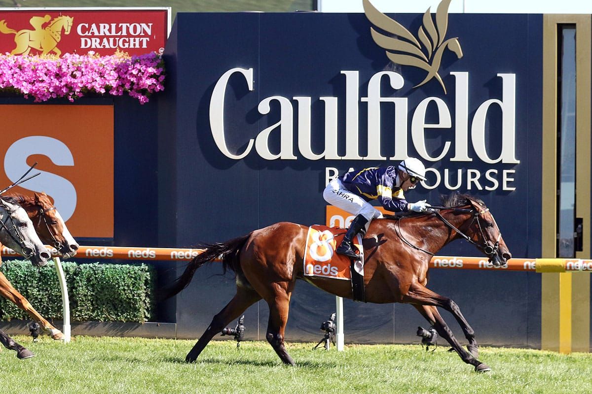Swansong for Tofane