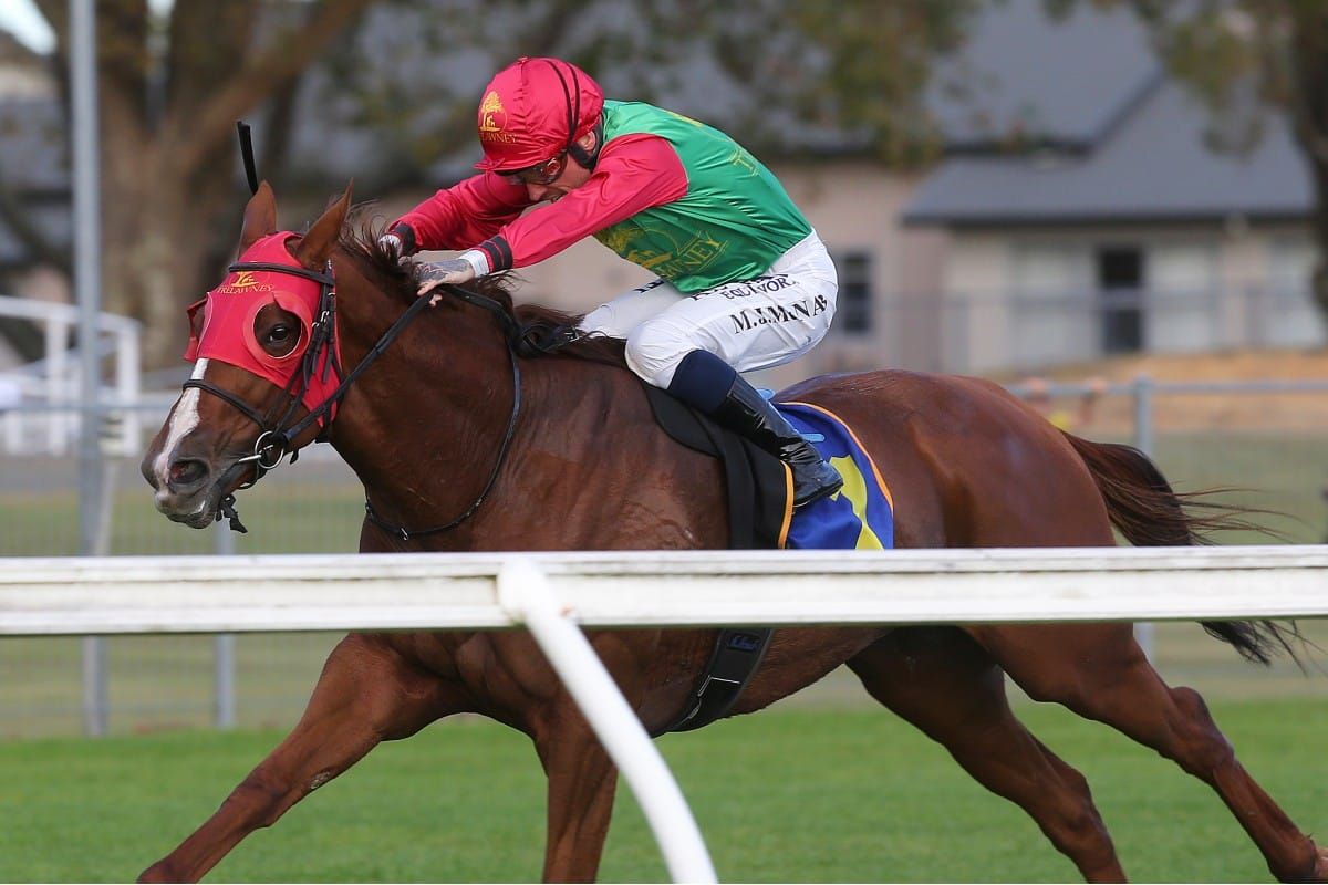 Two Illicit signs off in style at Te Rapa