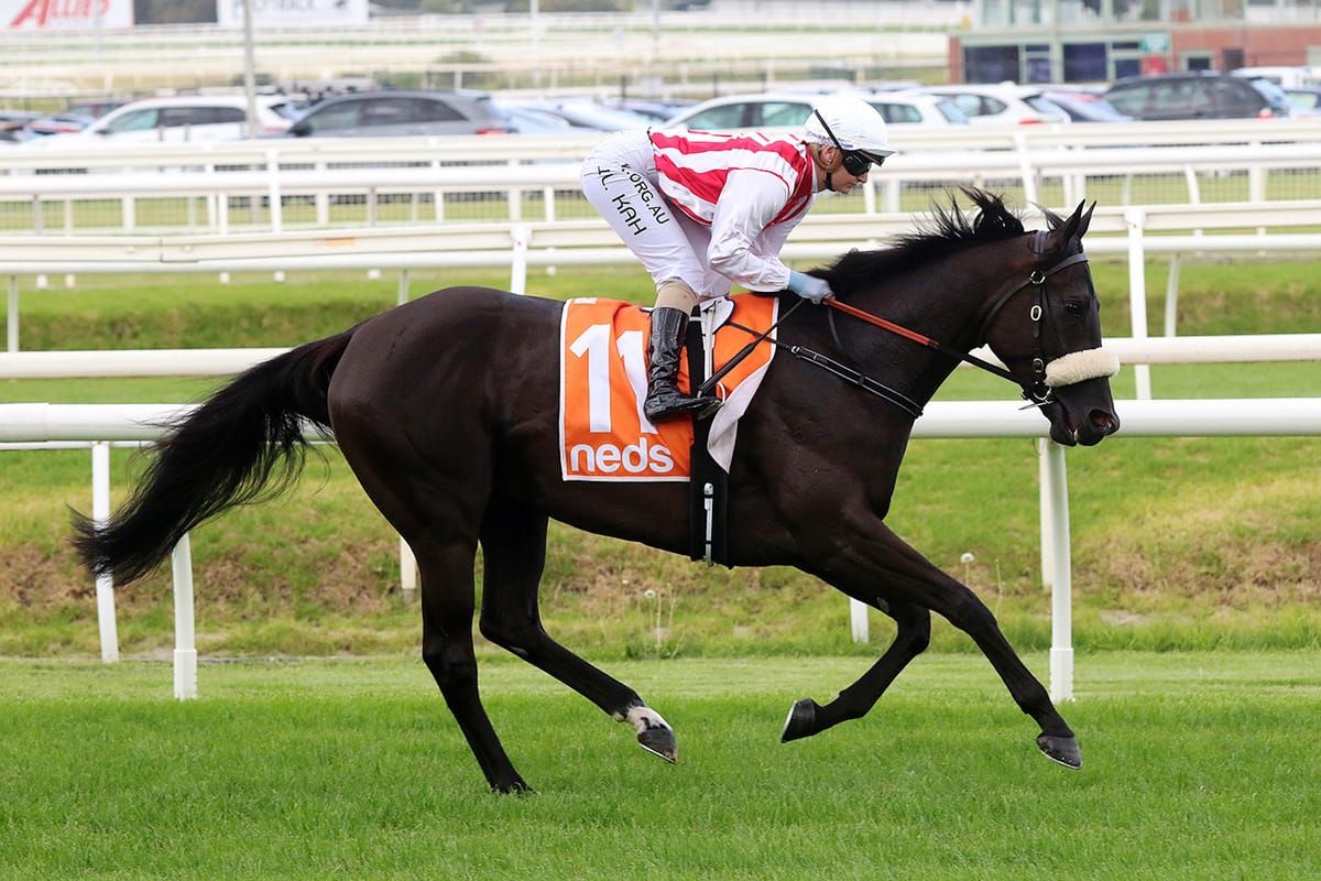 Butter Chicken resumes at Flemington