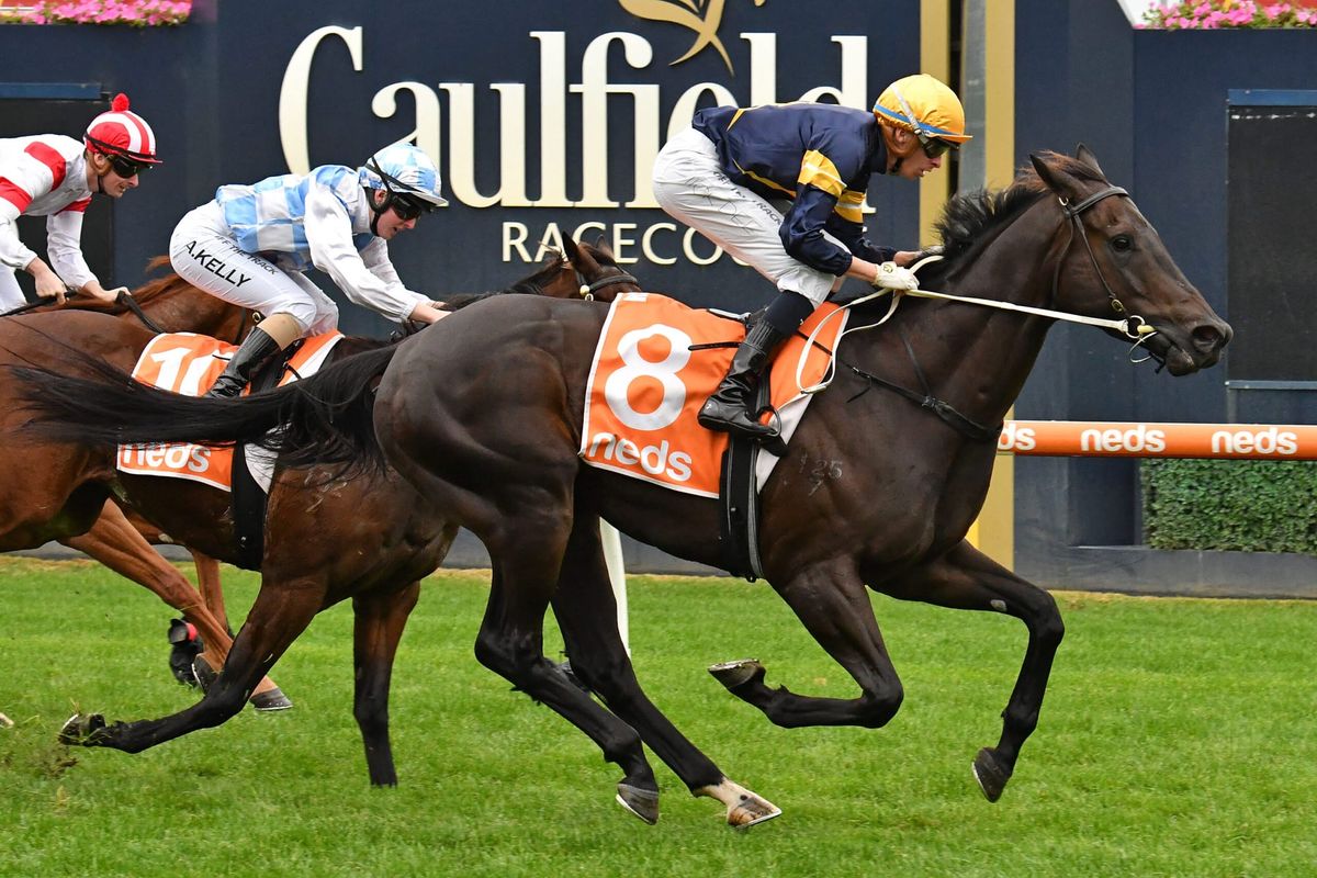 Ranting back in winner’s enclosure