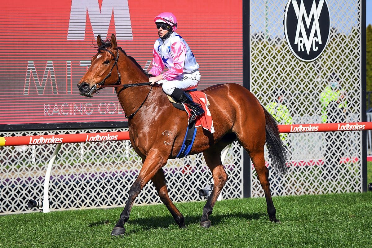 The Inferno ready to burn in Goodwood