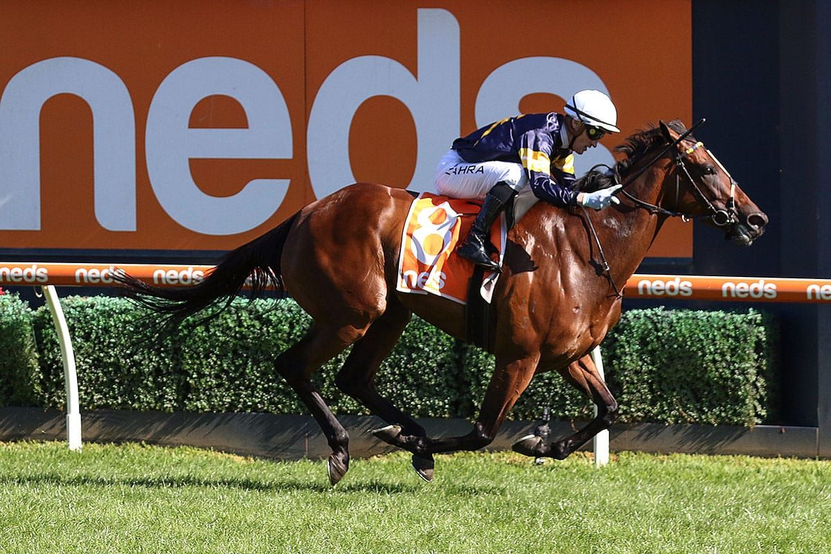 Memsie target for Tofane