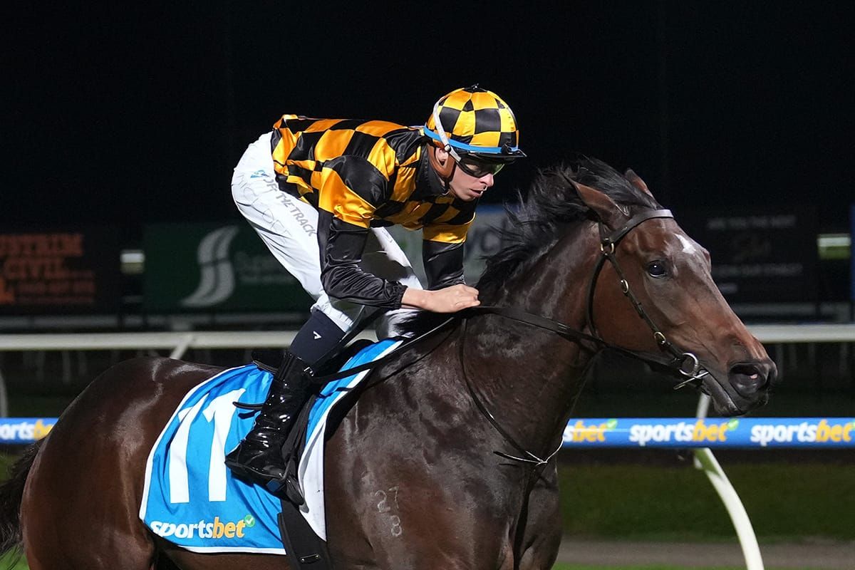 Tuahine impresses on return