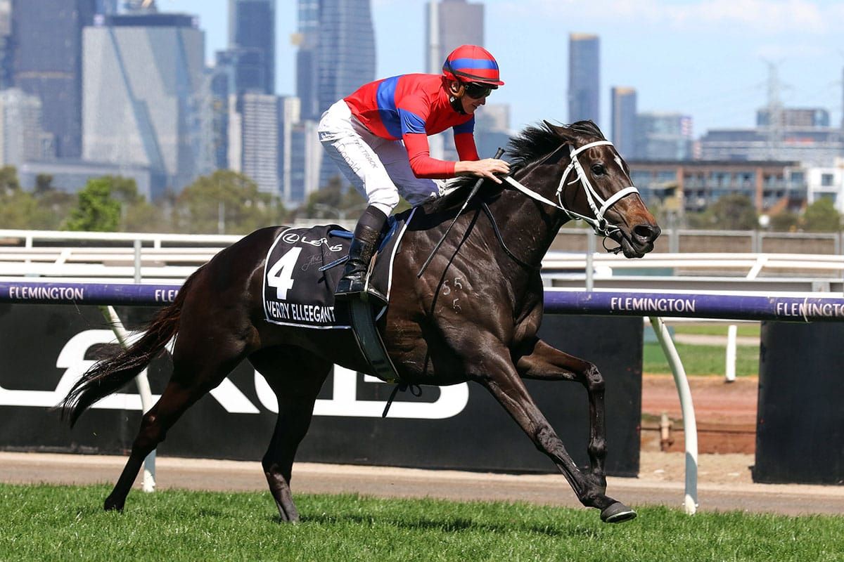 No panic over Elleegant miss