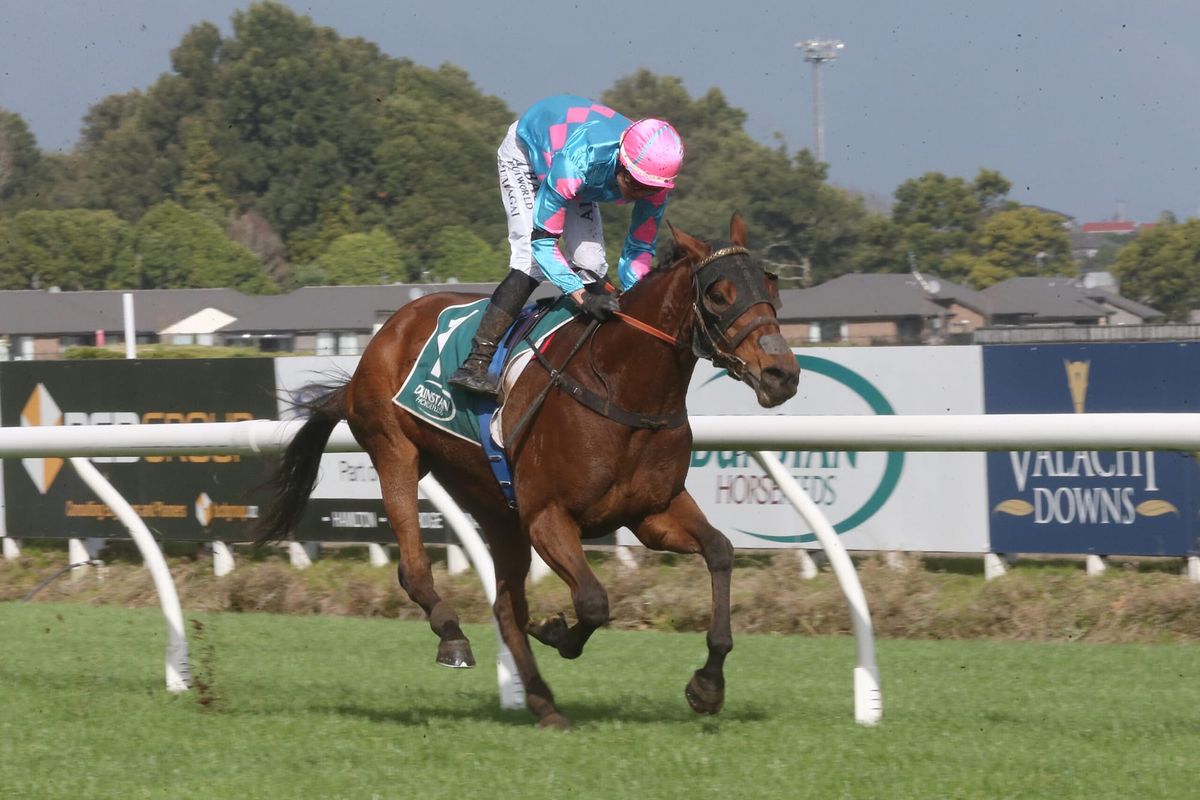 Wordsworth returns to form at Te Rapa