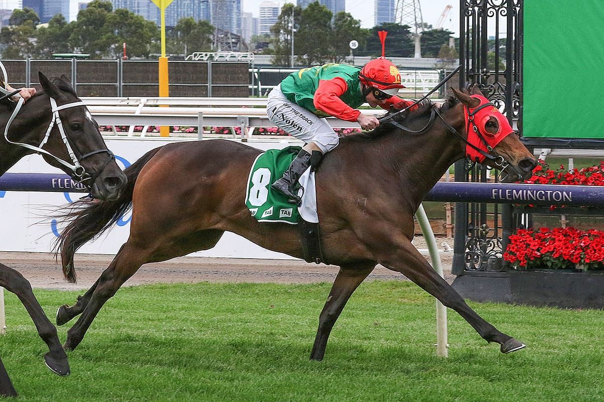 Zayydani retired