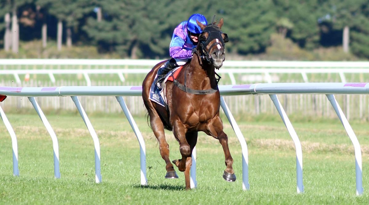 Amusez Moi team treading a quieter path