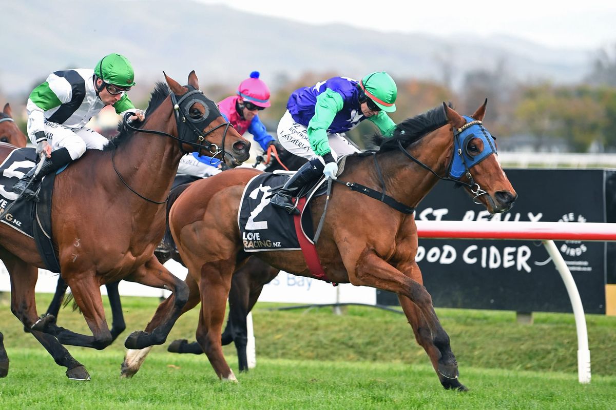 Jodelin Gal passes first test on the way to possible Group One assignment