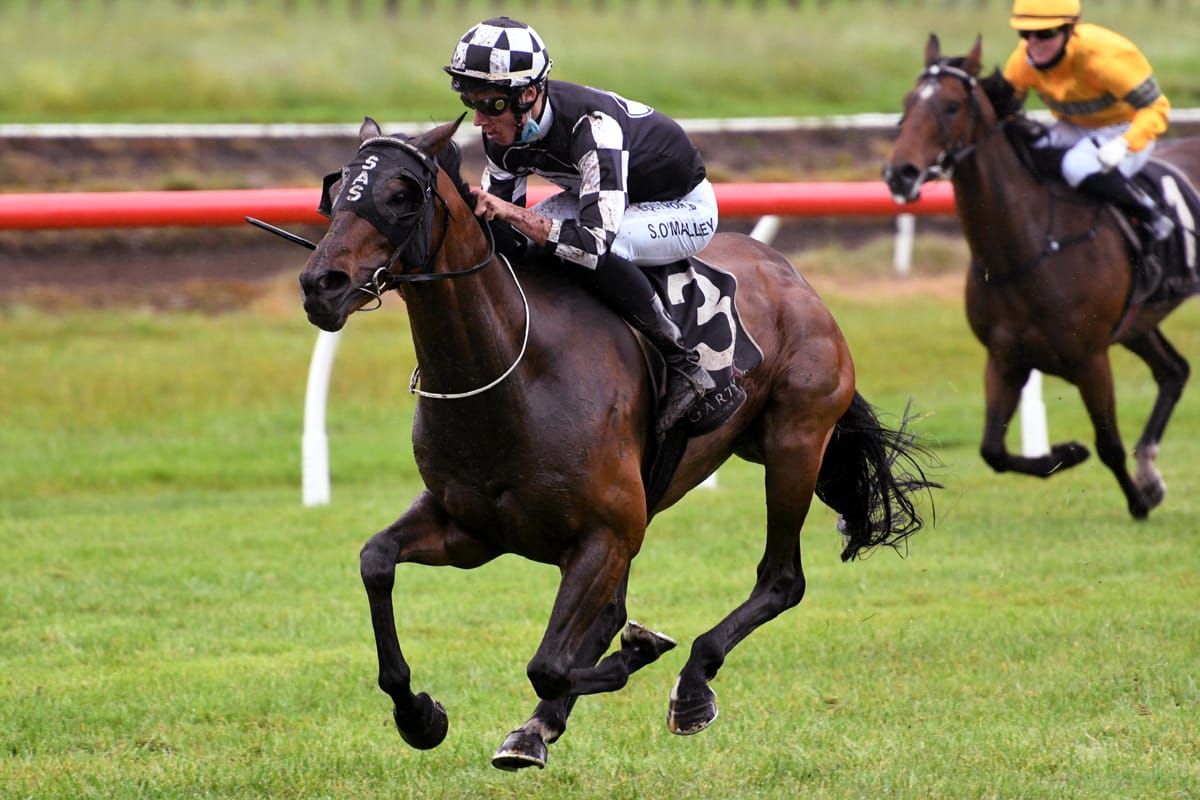 Sharrock pair heading to Trentham