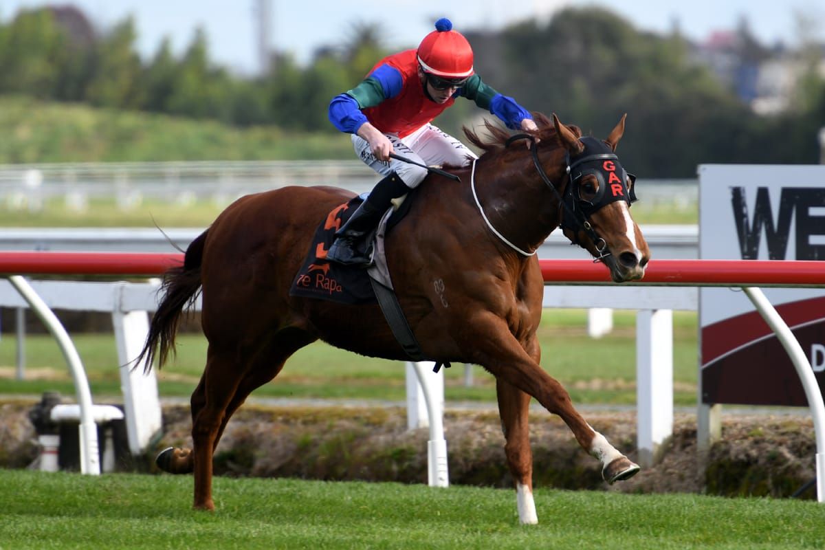 Waikato Stud to sponsor Foxbridge Plate day at Te Rapa￼