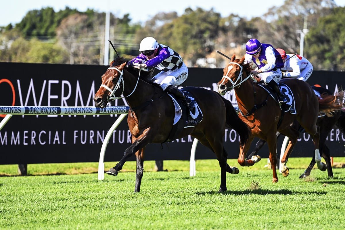 Waller unleashes promising colt at Rosehill