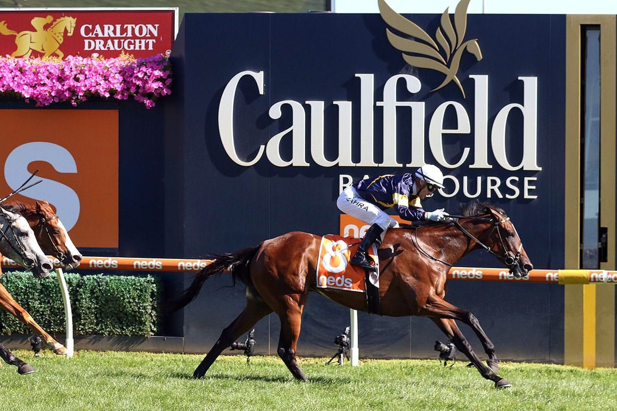 Tofane back in work
