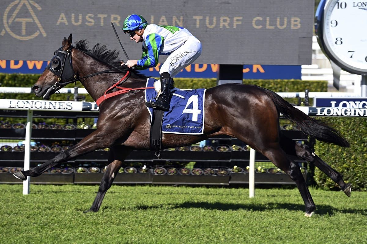 Waihaha Falls resumes a winner