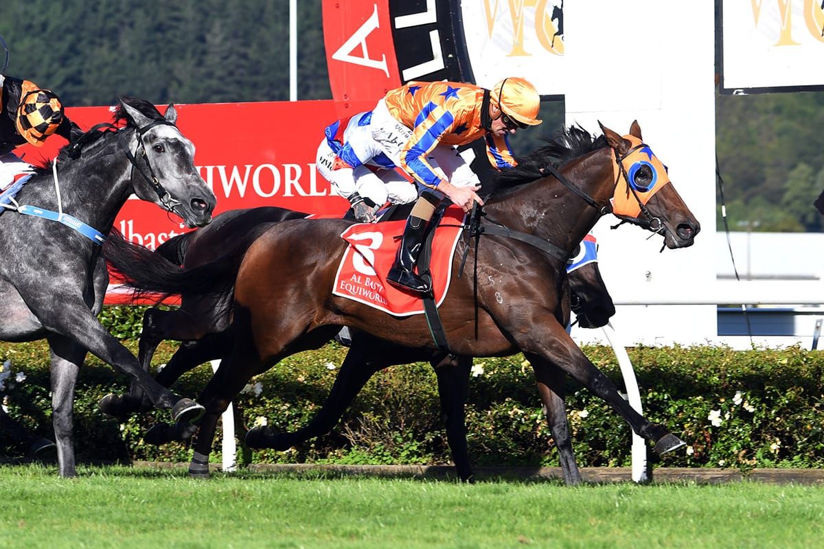 Breeding success brings further thrills for Ellis