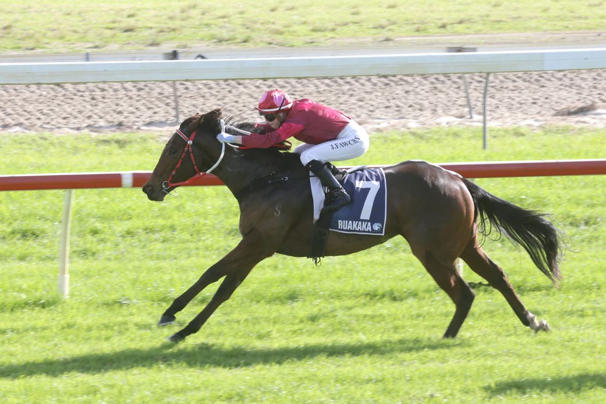 Sponsors out to make strong start on home soil