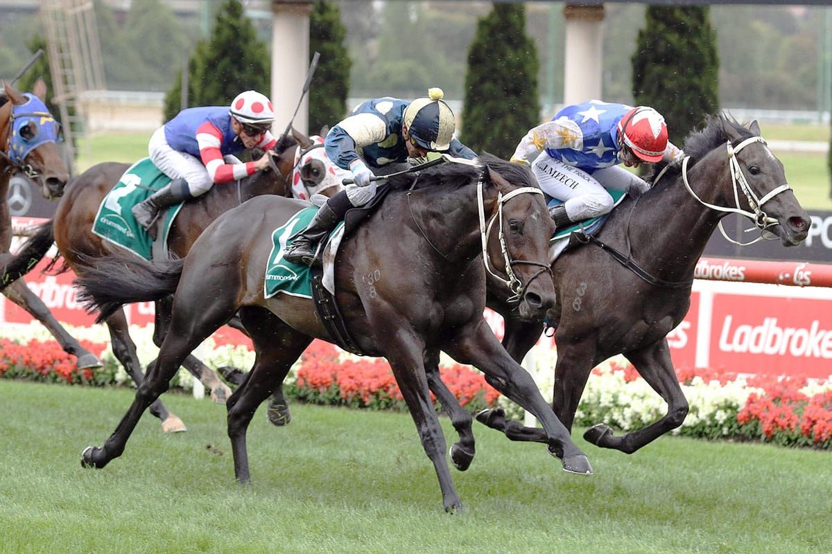 Forgot You progressing well for spring campaign