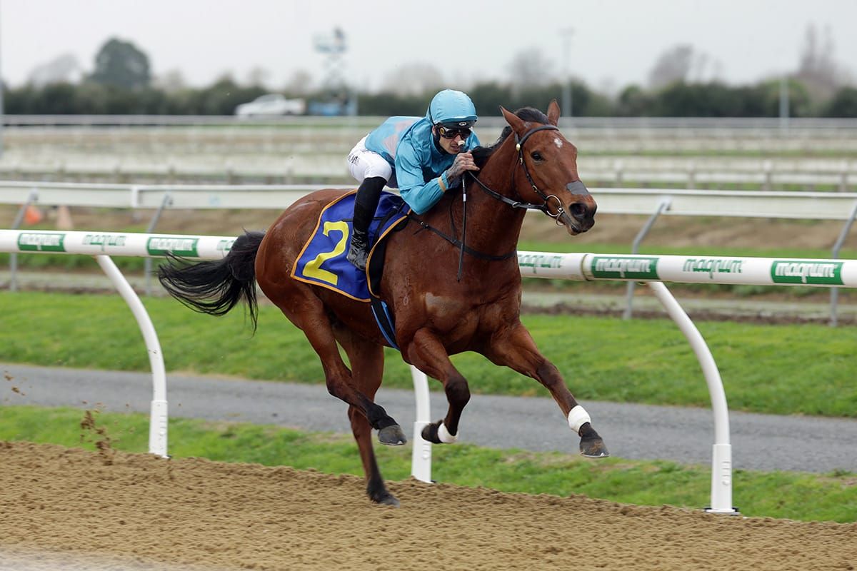 Harris makes winning return