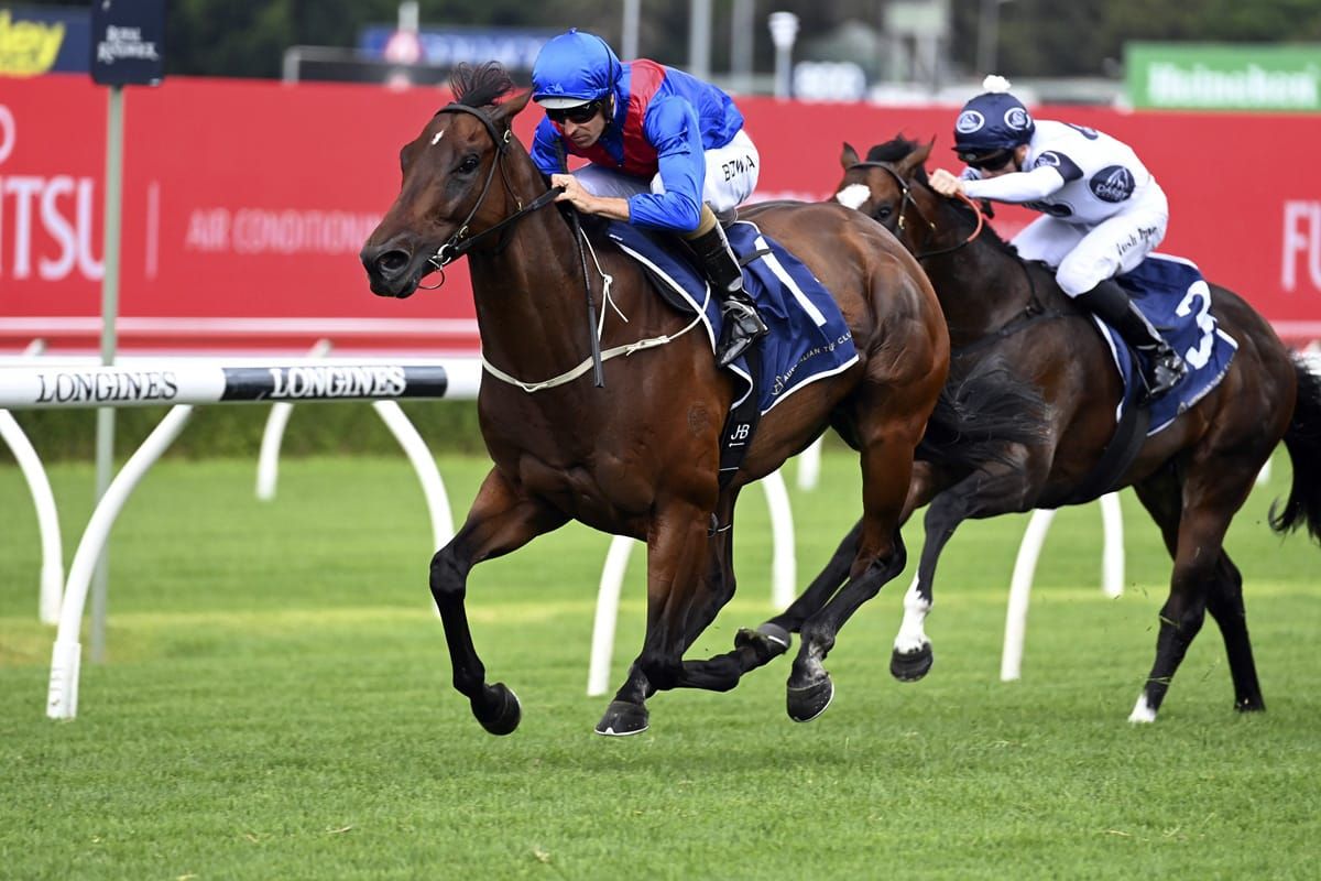 Kiwi-bred secures Everest spot