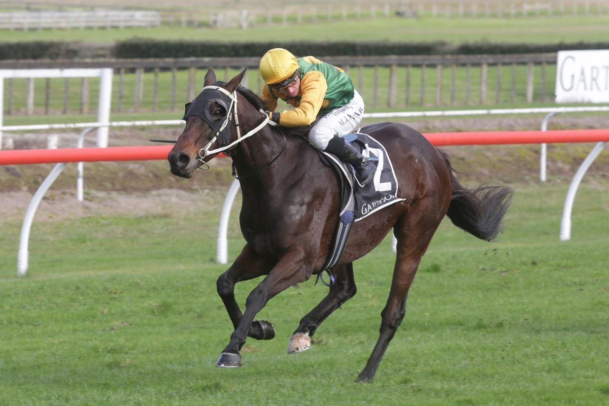 Liefting chasing turnaround in Cup fortunes