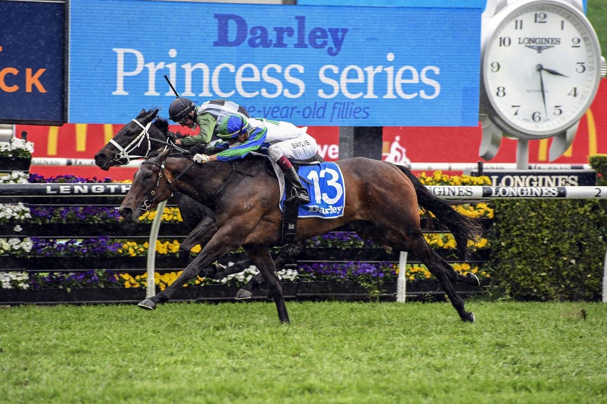 Group One winner retired