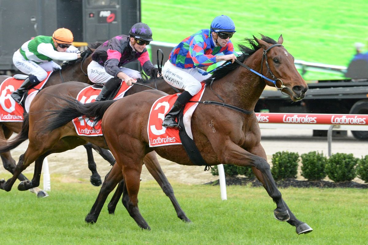 The Valley next step for Shock ‘Em Ova