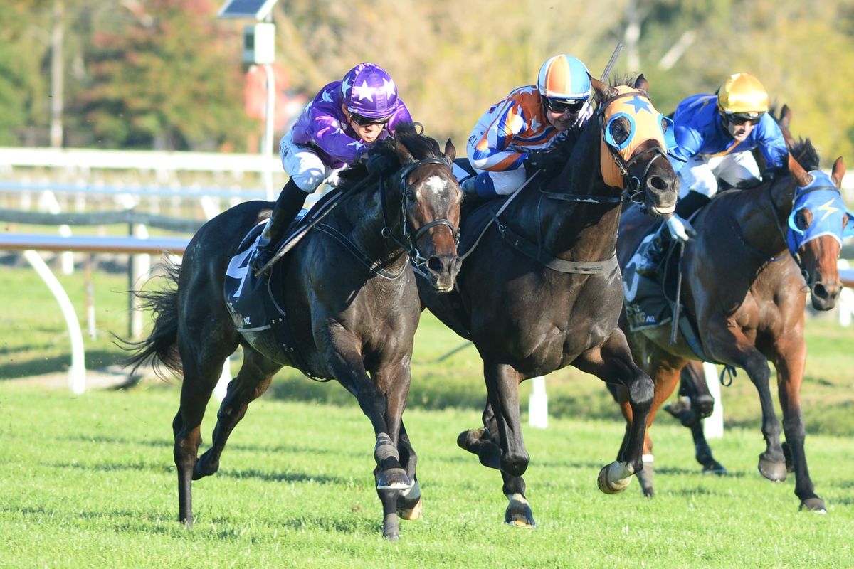 Ballarat Cup assault for Swords Drawn