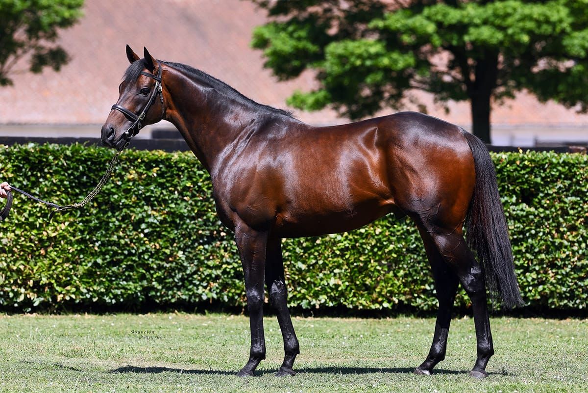 Time Test’s Rocchigiani lands Goodwood Group Three