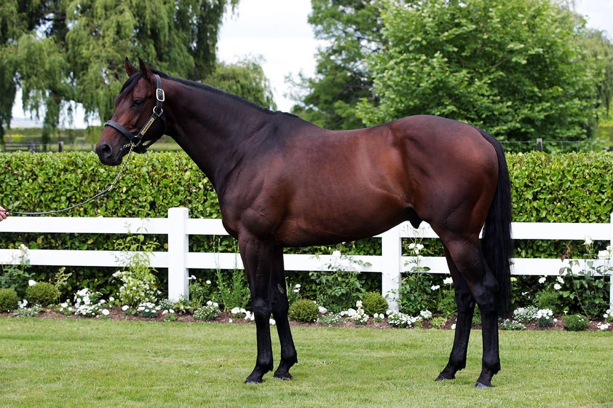 Around Midnight strikes up another stakes win for Almanzor