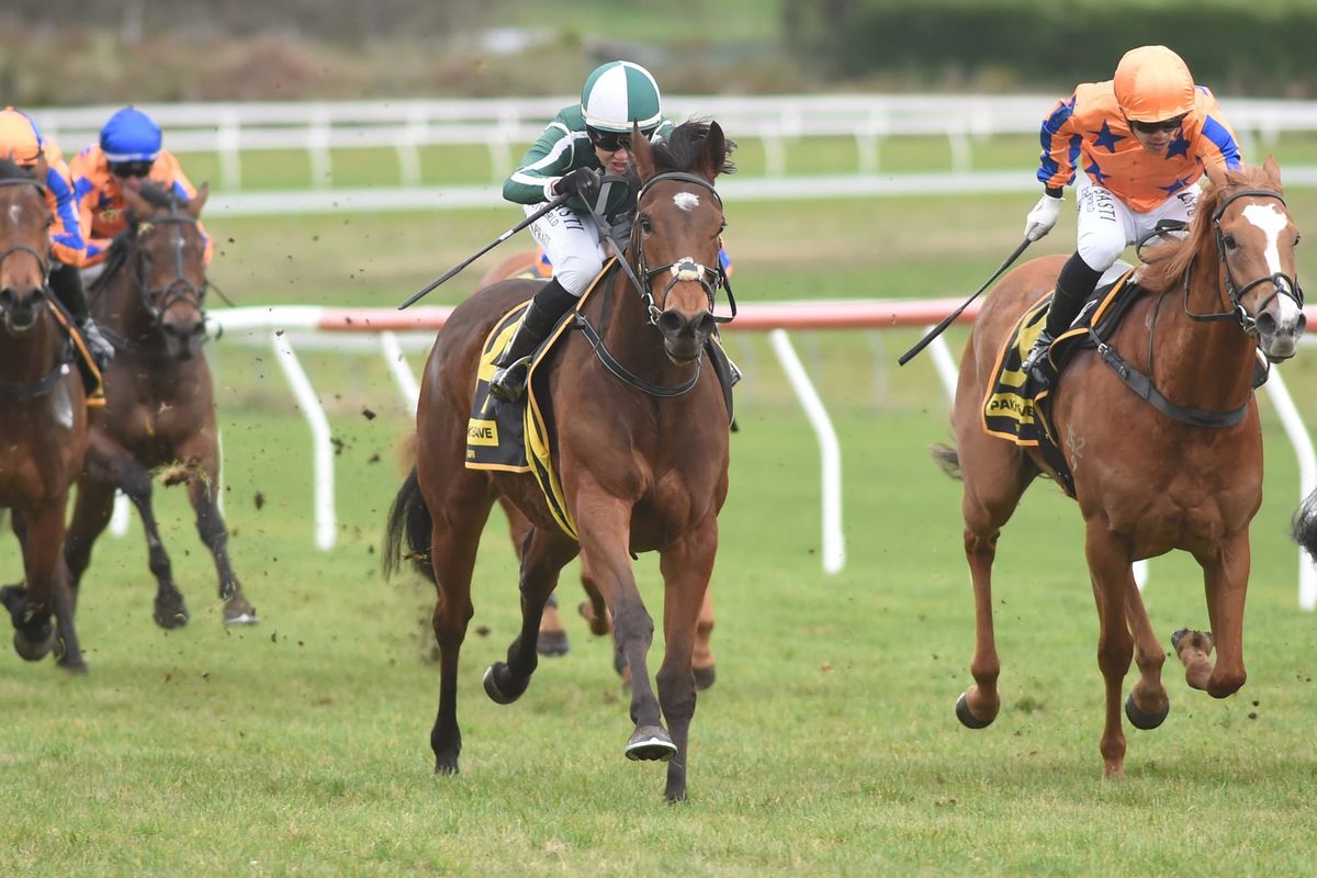 Clark may have another quality filly on his hands