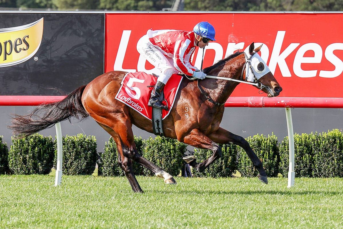 Grand Impact on song for Blue Sapphire tilt