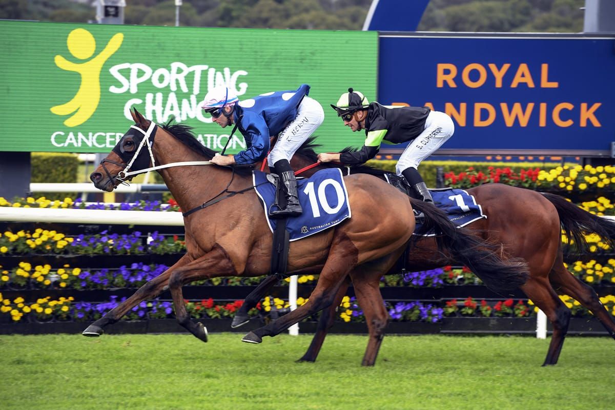 No Compromise set to resume