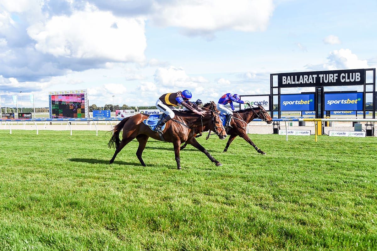 The Cossack brave in defeat